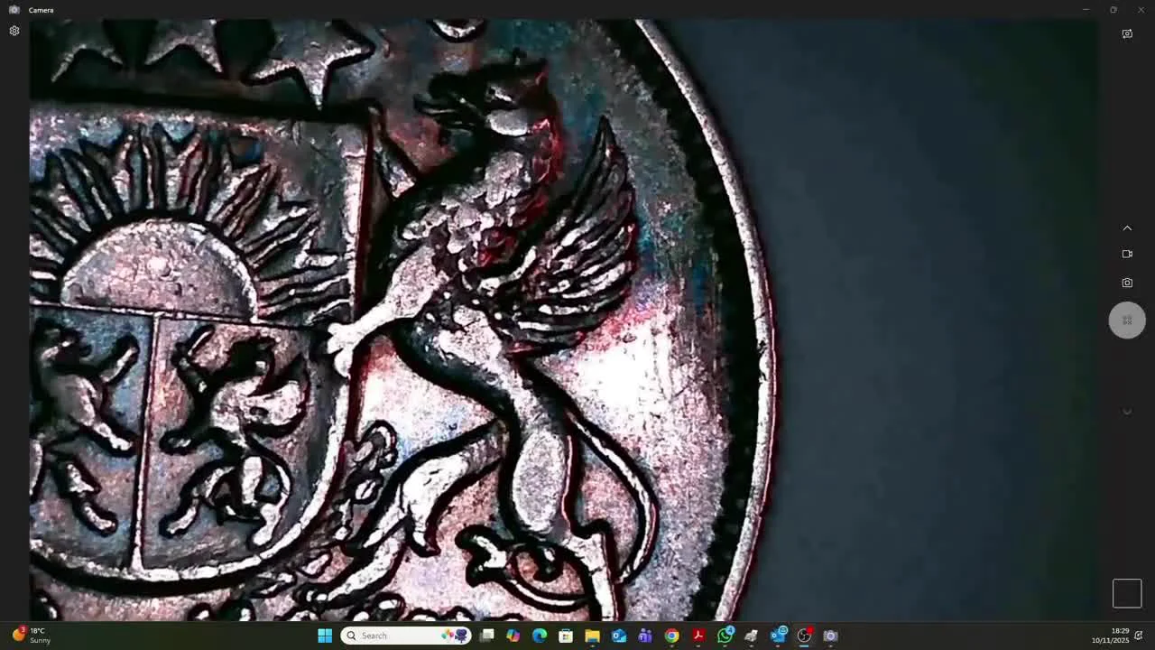 The Coin's Fate and Rarity