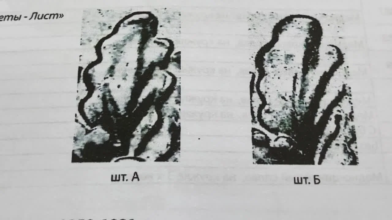 Редчайшая монета 1958 года и поздний период (1961-1991)