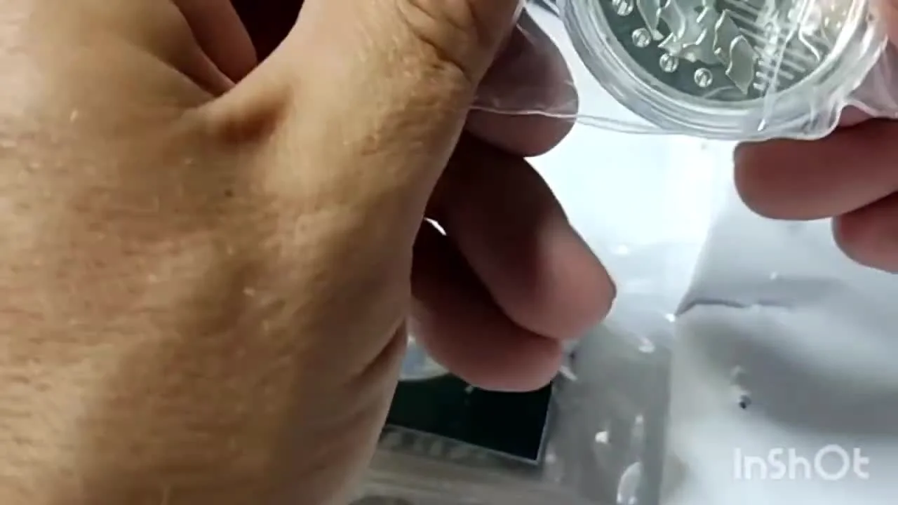 French 10 Euro 'Europa' Coin