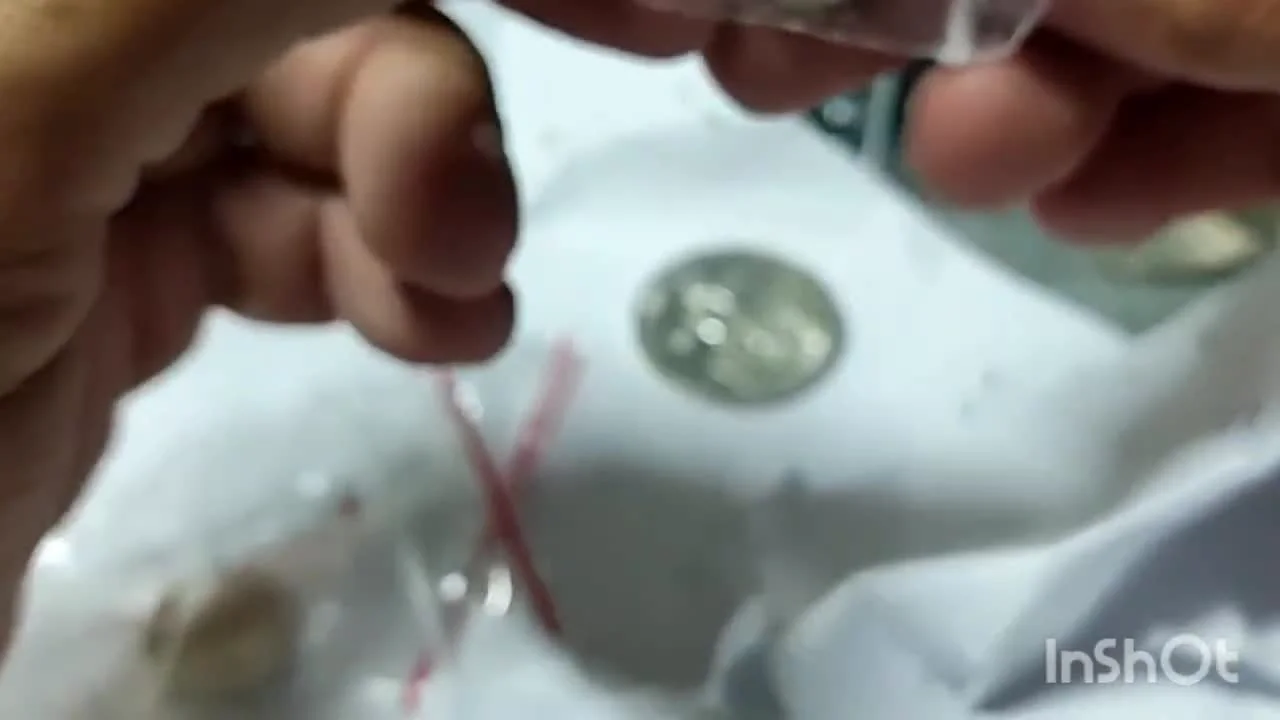 Coins from Finland and Austria from the Early 20th Century