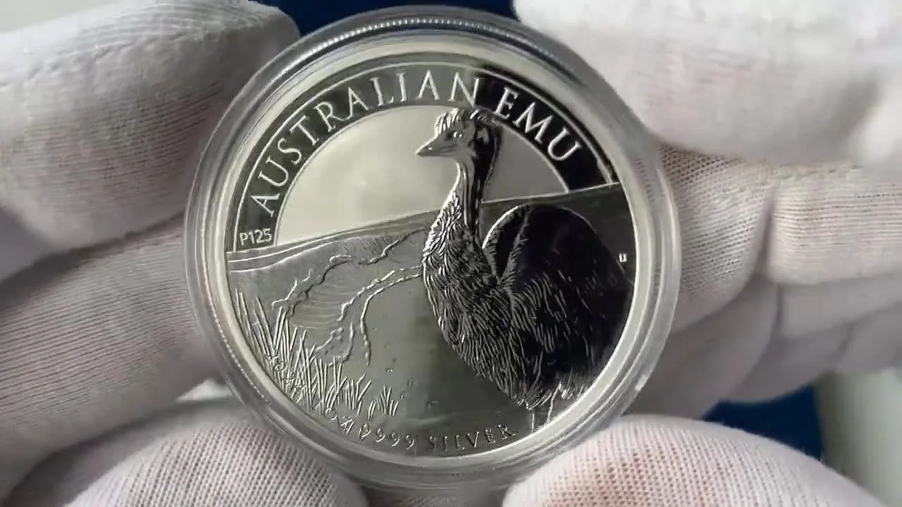 African Wildlife Series: Somali Leopard