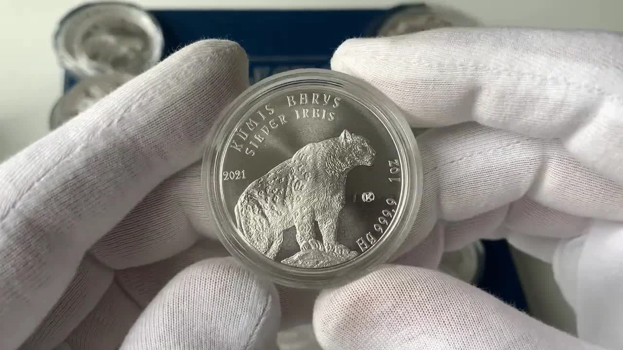 Silver Coins of Kazakhstan: Overview and Features