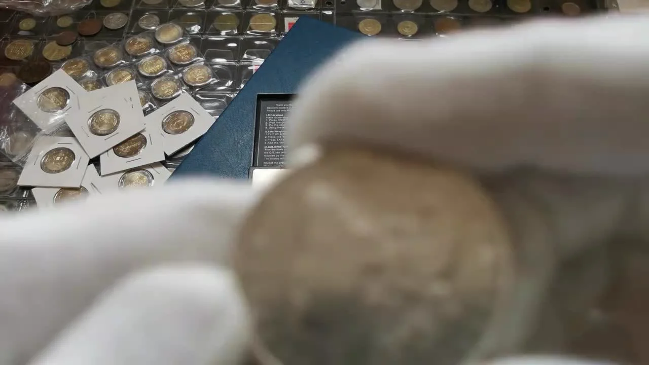 Common Counterfeits and Authenticity Verification