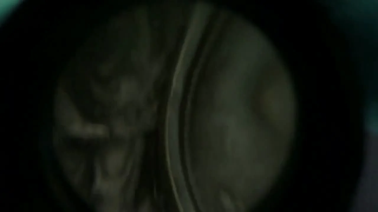 The main sign of a counterfeit — the rare 'Ship' (Spike) variety