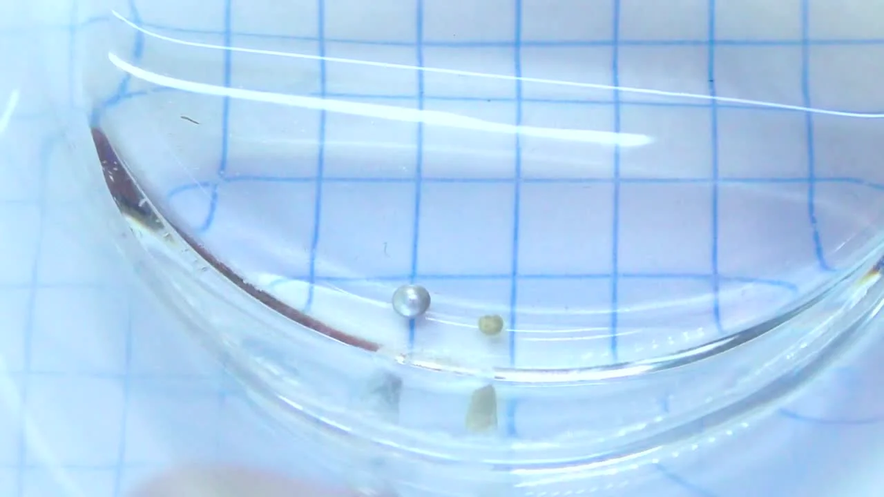 Method 2: Chemical Test with Nitric Acid