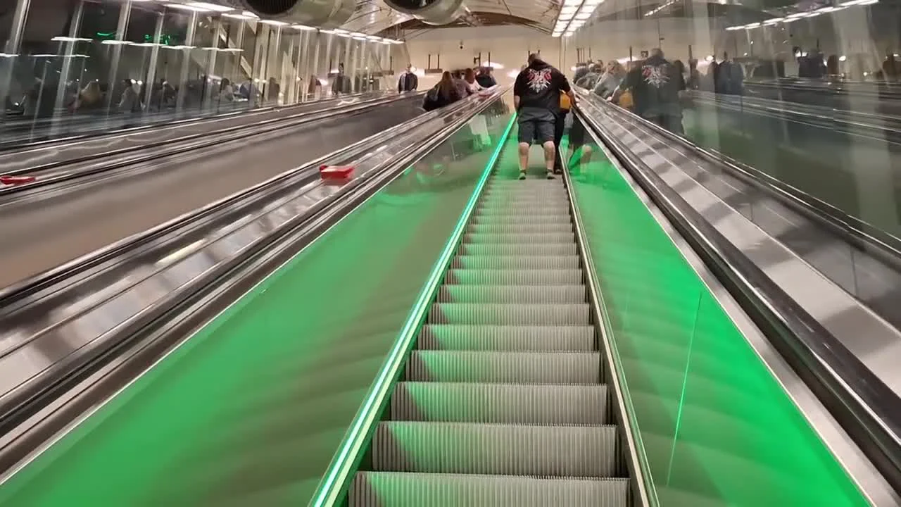 A trip to a numismatic auction