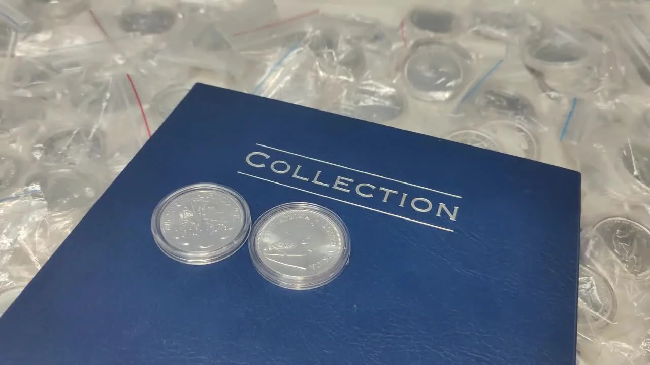 3rd Place: Australian Kangaroo