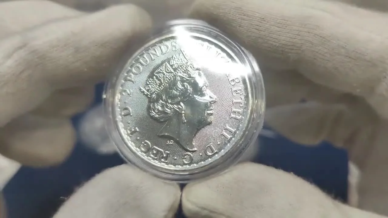 1st Place: Canadian Maple Leaf