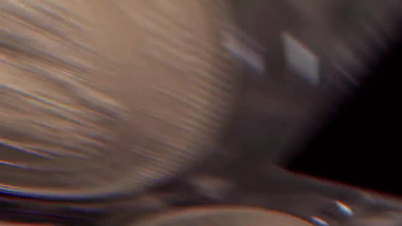 Example #2: The '37 Rubles 50 Kopeks – 100 Francs' Coin of 1902