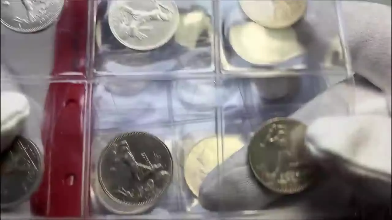 Die erste Sammlung: Ein Album voller gereinigter Münzen