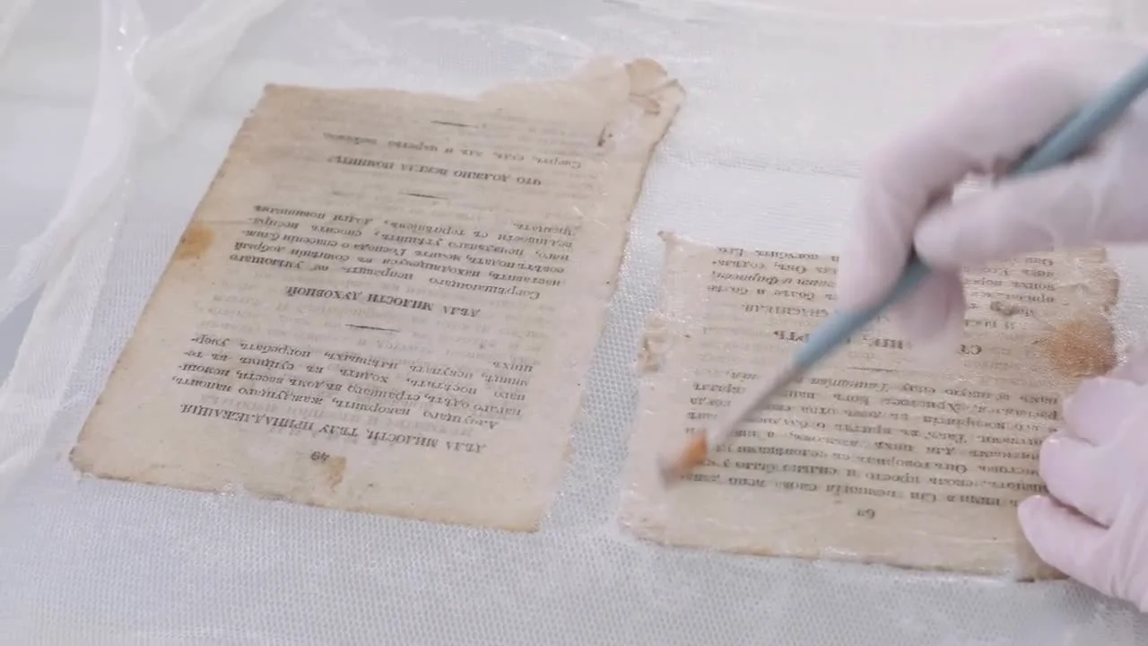 Filling losses with paper pulp