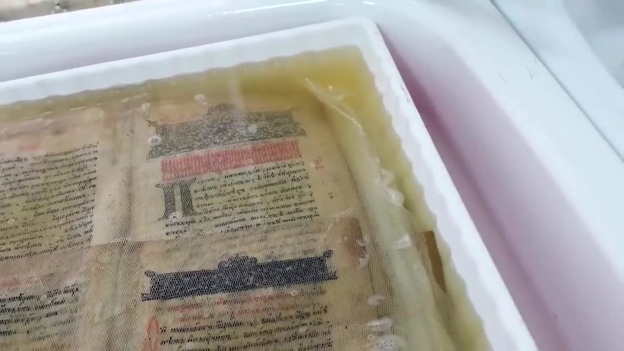 Reinigung der Jahrhunderte: Das Waschen der Seiten