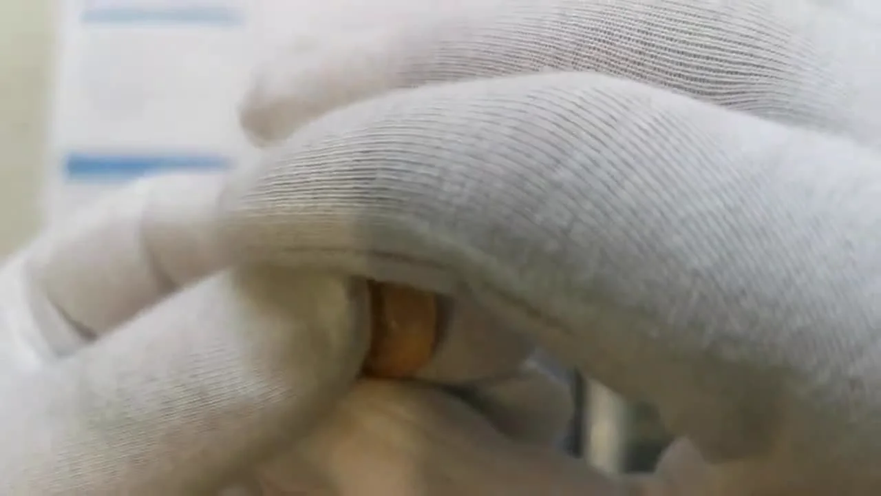 Diseño e inscripciones de la moneda