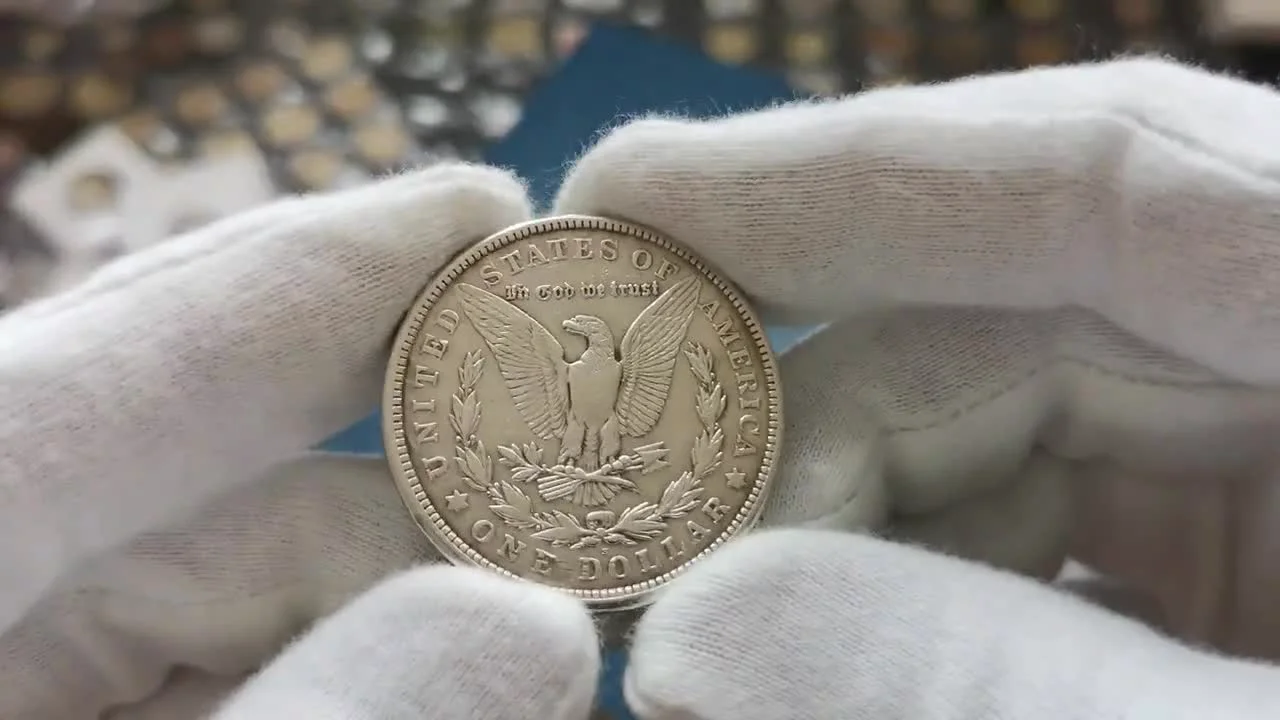 Reverse Design: Bald Eagle