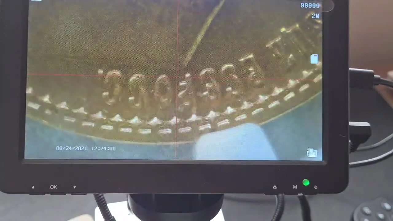 Variété courante — trois lettres derrière le cou