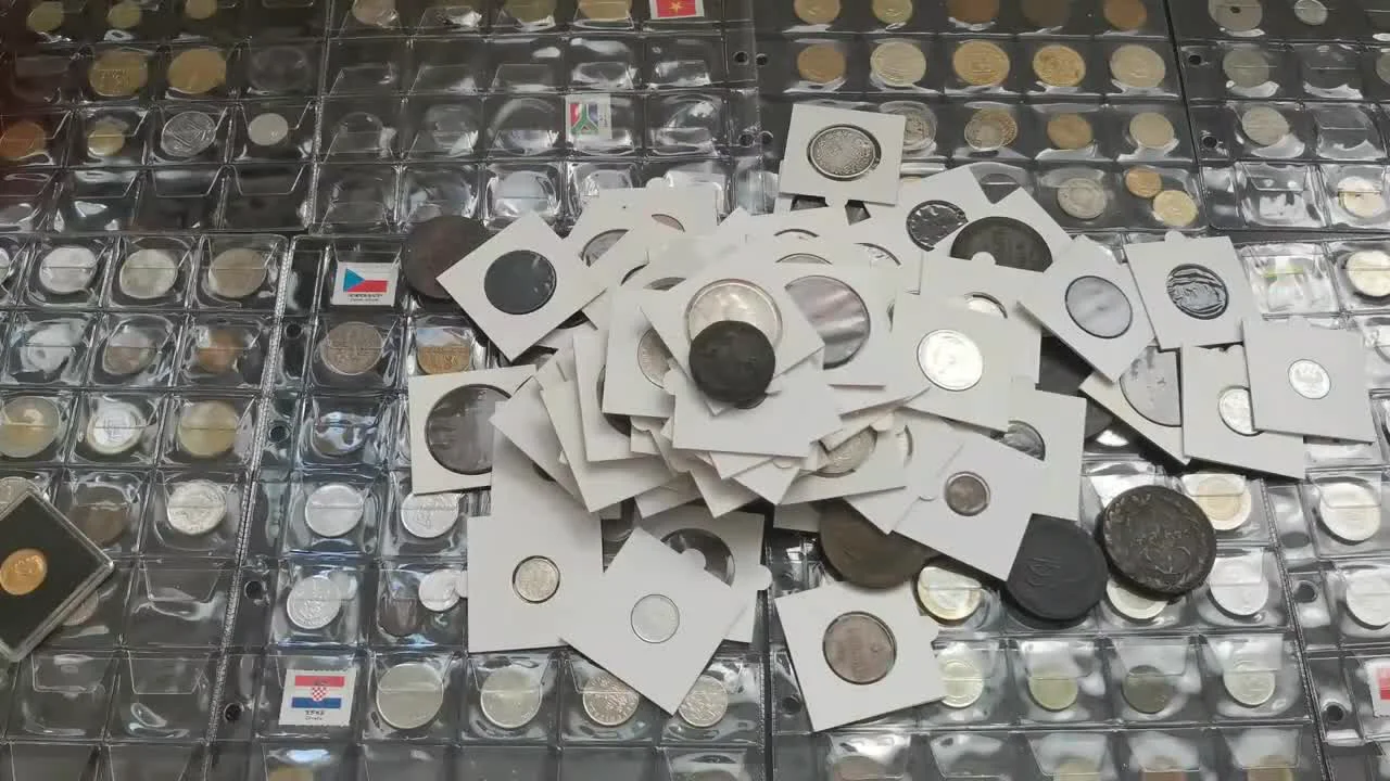 Organizing a Collection: Sorting an Album of Russian Empire Coins